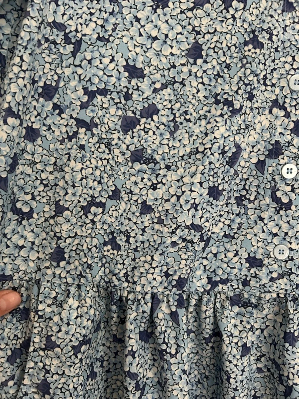 Tuckernuck blue hydrangea